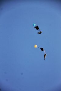 img_6759