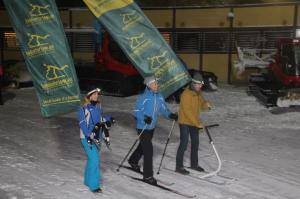 Talvepealinn 010