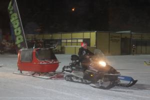 Talvepealinn 035