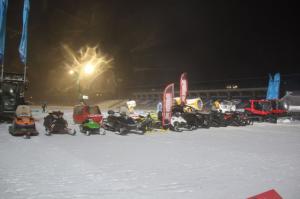 Talvepealinn 054