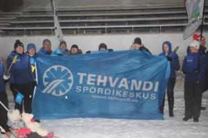 Talvepealinn 065