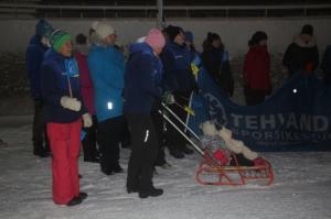 Talvepealinn 066