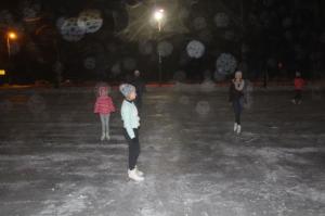 Talvepealinn 070