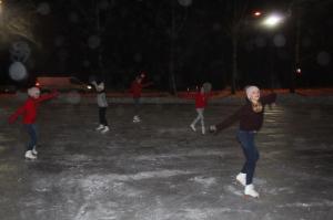 Talvepealinn 071