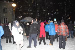 Talvepealinn 075