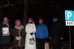 Talvepealinn 091