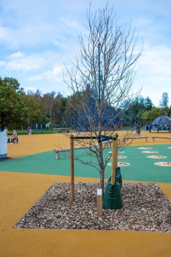 Tammede-pargi-avamine-Foto-Raigo-Tonisalu-25