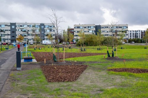 Tammede-pargi-avamine-Foto-Raigo-Tonisalu-34