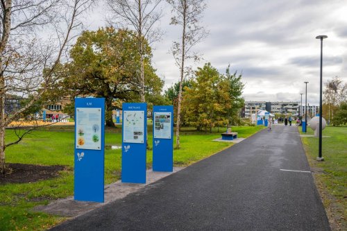 Tammede-pargi-avamine-Foto-Raigo-Tonisalu-46