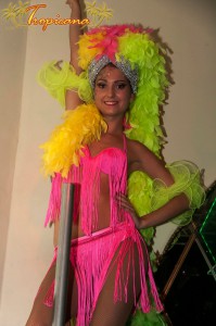 img_21_3334