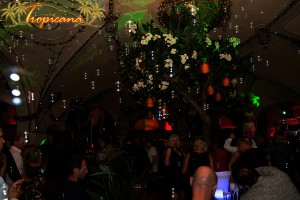 img_28_3644