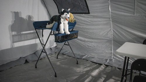 Telgid-Ukrainasse-Foto-Paasteliit-029