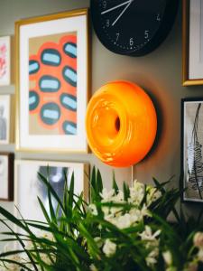 Rounded-shapes-5