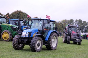 IMG_8194