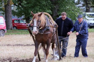 IMG_8690
