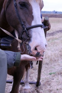 IMG_8834