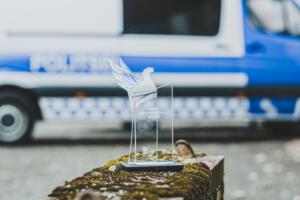 Valga abipolitseinike rühm (Foto Anastasya Kikkas) (5)