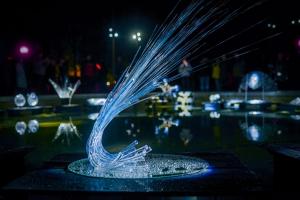 Valgus Kõnnib 2019 050