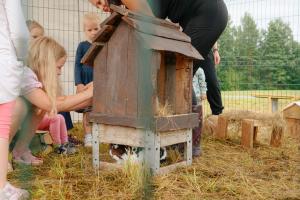 Voiste-Suvefestival-Foto-Rauno-Kadaja-11