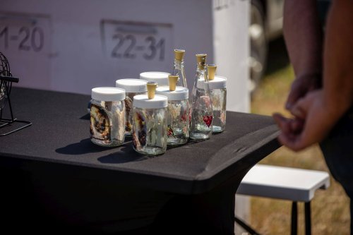 Voiste-Suvefestival-2026-Foto-Ave-Parn-010