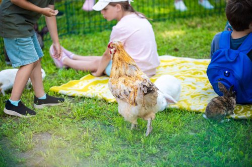 Voiste-Suvefestival-2026-Foto-Ave-Parn-049