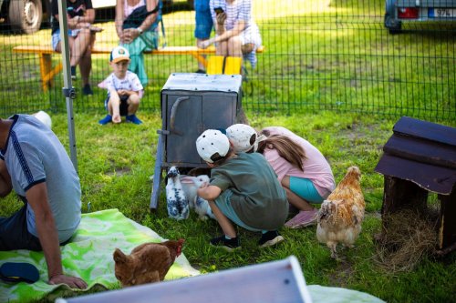Voiste-Suvefestival-2026-Foto-Ave-Parn-056