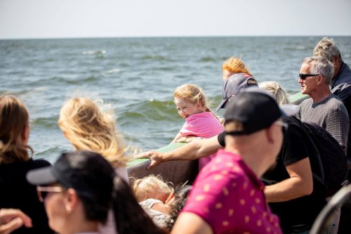 Voiste-Suvefestival-2026-Foto-Ave-Parn-105
