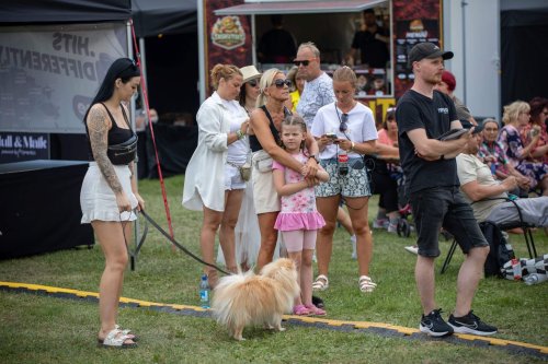 Voiste-Suvefestival-2026-Foto-Ave-Parn-237