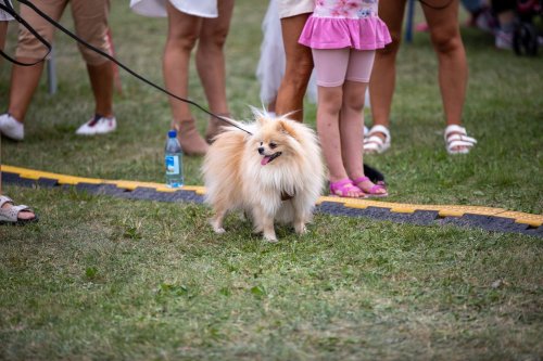 Voiste-Suvefestival-2026-Foto-Ave-Parn-238