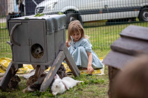 Voiste-Suvefestival-2026-Foto-Ave-Parn-242