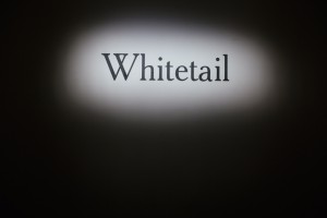 Whitetail_Berlin_Fasion_Week_2016-01_0059_72dpi_1300px