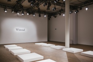 Whitetail_Berlin_Fasion_Week_2016-01_0076_72dpi_1300px
