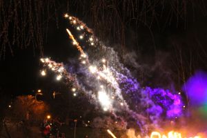 img_8460