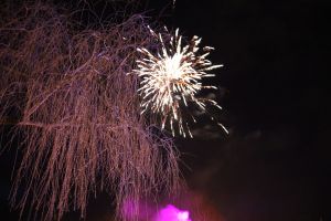 img_8492