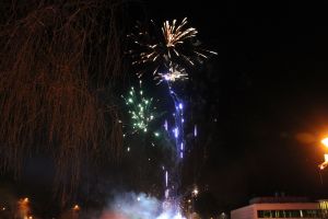 img_8561