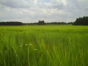 pict0224