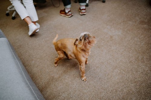 Aivar-Sarapik-Star-FM-Foto-Joospe-Ints-25