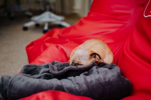 Aivar-Sarapik-Star-FM-Foto-Joospe-Ints-78